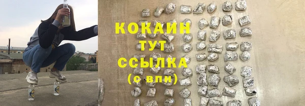 2c-b Гусев