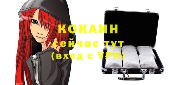 крисы Гусь-Хрустальный