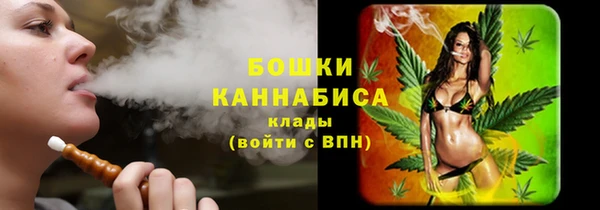 крисы Гусь-Хрустальный